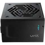 FSP VITA PM alimentation  modulaire 850 watt Noir, 1x 12V-2x6, 4x PCIe