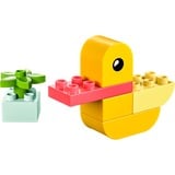 LEGO DUPLO - Mon premier canard, Jouets de construction 30673