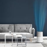 Rowenta Pure Air City PU2840 20 m² 32 dB 23 W Blanc, Gris, Purificateur d'air Blanc, 32 dB, 240 m³/h
