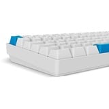 Sharkoon SKILLER SGK50 S2 PBT, clavier gaming Blanc, Layout DE, Gateron G Pro 3.0 Yellow