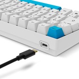 Sharkoon SKILLER SGK50 S2 PBT, clavier gaming Blanc, Layout DE, Gateron G Pro 3.0 Yellow