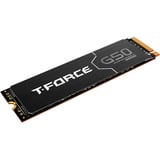 Team Group T-FORCE G50 1 TB SSD 