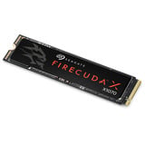 Seagate FireCuda X1070 1 TB SSD Noir