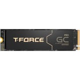 Team Group  SSD 