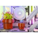 ALTERNATE ALT-ICUECS-INT-003, PC gaming Blanc/transparent