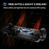 ASUS ASUS ROG XBOX Ally X20 Édition Anniversaire, Console portable Noir