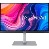 ASUS ProArt Display PA247CV 24" Moniteur  Noir/Argent, HDMI, DisplayPort, Sound
