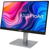 ASUS ProArt Display PA247CV 24" Moniteur  Noir/Argent, HDMI, DisplayPort, Sound