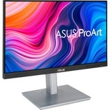 ASUS ProArt PA247CV écran plat de PC 60,5 cm (23.8") 1920 x 1080 pixels Full HD Noir, Argent 24" Moniteur  Noir/Argent, 60,5 cm (23.8"), 1920 x 1080 pixels, Full HD, 5 ms, Noir, Argent