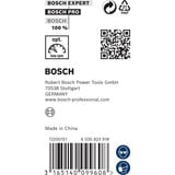 Bosch 2 608 597 194 foret, Perceuse 250 mm
