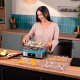 Cecotec 04949, Séchoir automatique Acier inoxydable/transparent