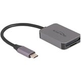 DeLOCK Lecteur de cartes USB Type-C pour cartes mémoire SD ou Micro SD Gris