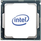 Intel® Xeon E-2224 processeur 3,4 GHz 8 Mo Smart Cache Boîte Intel Xeon E, LGA 1151 (Emplacement H4), 14 nm, Intel, E-2224, 3,4 GHz, processeur en boîte