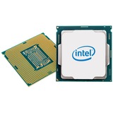 Intel® Xeon E-2224 processeur 3,4 GHz 8 Mo Smart Cache Boîte Intel Xeon E, LGA 1151 (Emplacement H4), 14 nm, Intel, E-2224, 3,4 GHz
