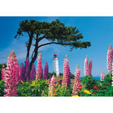 Schmidt Spiele Leuchtturm Dornbusch, Hiddensee, Puzzle 