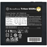 SilverStone SilvStone Triton 650Rz 