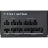 SilverStone Triton 650Rz alimentation  modulaire 650 watt Noir, 1x 12V-2x6, 2x PCIe