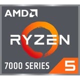 AMD Ryzen™ 5 7500F socket AM5 processeur Tray