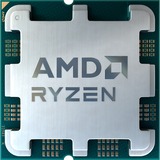 AMD  socket AM5 processeur Tray