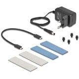 DeLOCK Boîtier USB externe 20 Gbps pour 2 x M.2 NVMe PCIe SSD, Boîtier disque dur Gris