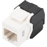 Digitus Module Keystone CAT 6A, non blindé, sans outil, Module de Keystone 