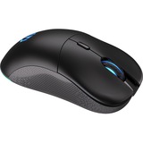 ENDORFY EY6A005, Souris gaming Noir