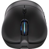 ENDORFY EY6A005, Souris gaming Noir