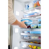 Emsa 508549 boîte hermétique alimentaire Rectangulaire Transparent 1  pièce Transparent/Bleu, Boîte, Rectangulaire, Transparent, Allemagne, 225 mm, 330 mm