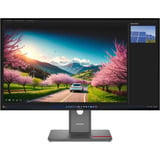 Lenovo ThinkVision P32UD-40 31.5" 4K Ultra HD Moniteur Noir, 1x DisplayPort, 1x HDMI, 1x USB-C, 4x USB-A, 2x Thunderbolt, 1x RJ-45, 120 Hz, 80 cm (31.5"), 3840 x 2160 pixels, 4K Ultra HD, LCD, 6 ms, Noir
