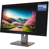 Lenovo ThinkVision P32UD-40 31.5" 4K Ultra HD Moniteur Noir, 1x DisplayPort, 1x HDMI, 1x USB-C, 4x USB-A, 2x Thunderbolt, 1x RJ-45, 120 Hz, 80 cm (31.5"), 3840 x 2160 pixels, 4K Ultra HD, LCD, 6 ms, Noir