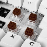 Sharkoon Kit de commutateurs Kailh Box Brown, Switch pour clavier Marron/transparent, 35 Pièces