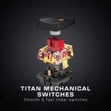 Turtle Beach Clavier gaming PC TITAN Switch mécanique linéaire sans pavé numérique Vulcan TKL avec éclairage RGB AIMO par touche, plaque supérieure en aluminium anodisé et câble USB-C amovible - Noir Noir, Layout DE, Roccat Titan Speed, plaque supérieure en aluminium anodisé et câble USB-C amovible - Noir, Avec fil, USB, Clavier mécanique, QWERTZ, LED RGB, Noir