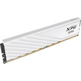 ADATA 32 Go DDR5-6000 (1x 32 Go) mémoire vive Blanc, AX5U6000C3032G-SLABWH, XMP 3.0, EXPO
