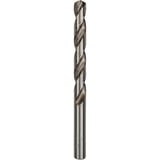 Bosch Foret hélicoïdal PRO Metal HSS-G, Ø 10,5mm, Perceuse 