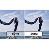 Lenovo  23.8" Moniteur  Noir