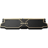 Lexar LD5U08G60C38LG-RGD, Mémoire vive Noir