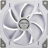 Phanteks PH-F140D30R_DRGB_PWM_WT01_3P, Ventilateur de boîtier Blanc