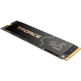 Team Group T-Force GA PRO 1 TB SSD Noir