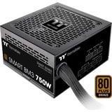 Thermaltake SMART BM3 alimentation modulaire 750 watt Noir, 4x PCIe