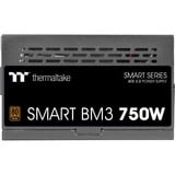 Thermaltake SMART BM3 alimentation modulaire 750 watt Noir, 4x PCIe