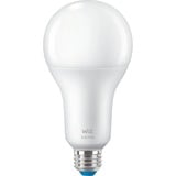 WiZ 929003500001, Lampe à LED 