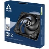 ARCTIC P12 120x120x25, Ventilateur de boîtier Noir