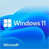 Windows 11 Home 1 licence(s), Logiciel