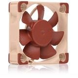 Noctua NF-A4x10 24V PWM ventilateur de boîtier Marron, 40 x 40 x 10 mm