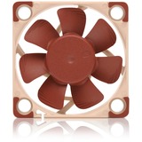 Noctua NF-A4x10 24V PWM ventilateur de boîtier Marron, 40 x 40 x 10 mm