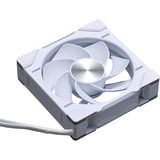 Phanteks D30-120 PWM Reverse DRGB ventilateur de boîtier Blanc, 120 x 120 x 30 mm