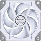 Phanteks D30-120 PWM Reverse DRGB ventilateur de boîtier Blanc, 120 x 120 x 30 mm