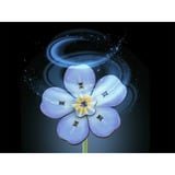 Revell Blossom Festival fleurs en bois, Bricolage Bois, Vente au détail