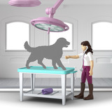 Schleich Horse Club Clinique Équine "Sabots Guérisseurs", Jeu de construction 