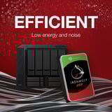 Seagate IronWolf NAS 4 x 4 TB Bundle, Disque dur 